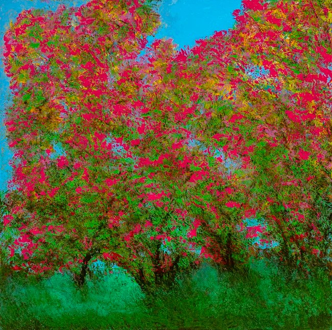 Vibrant colorful trees with pink foliage against a bright blue sky.