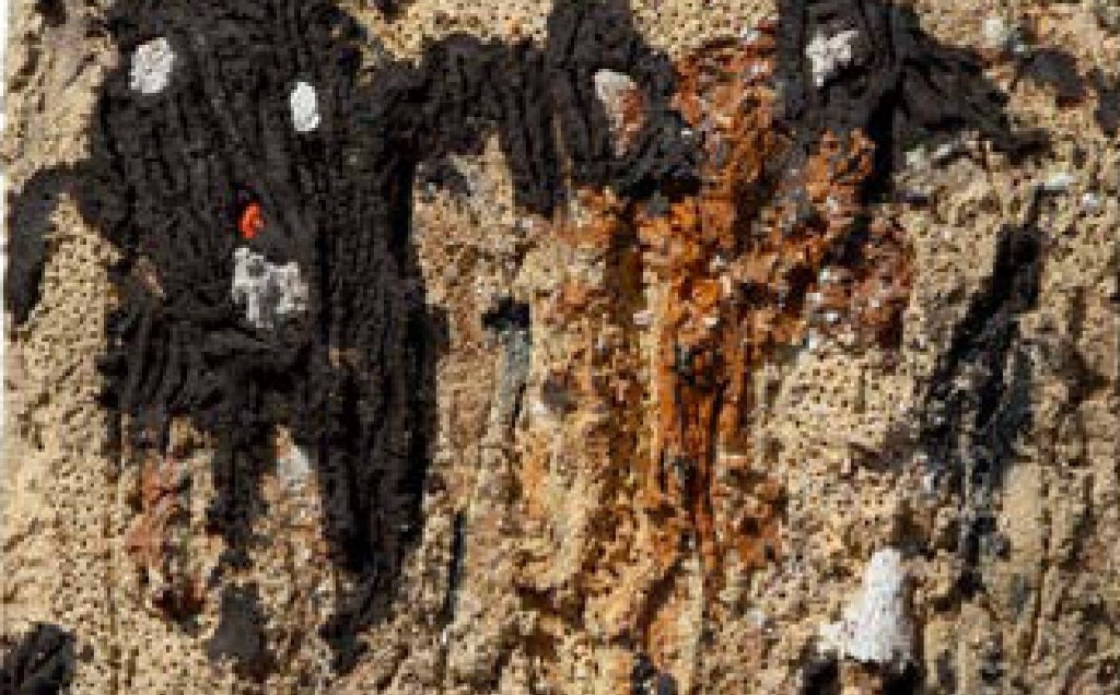 Close-up of a textured tree bark featuring dark patterns and rough surfaces, resembling abstract forms.