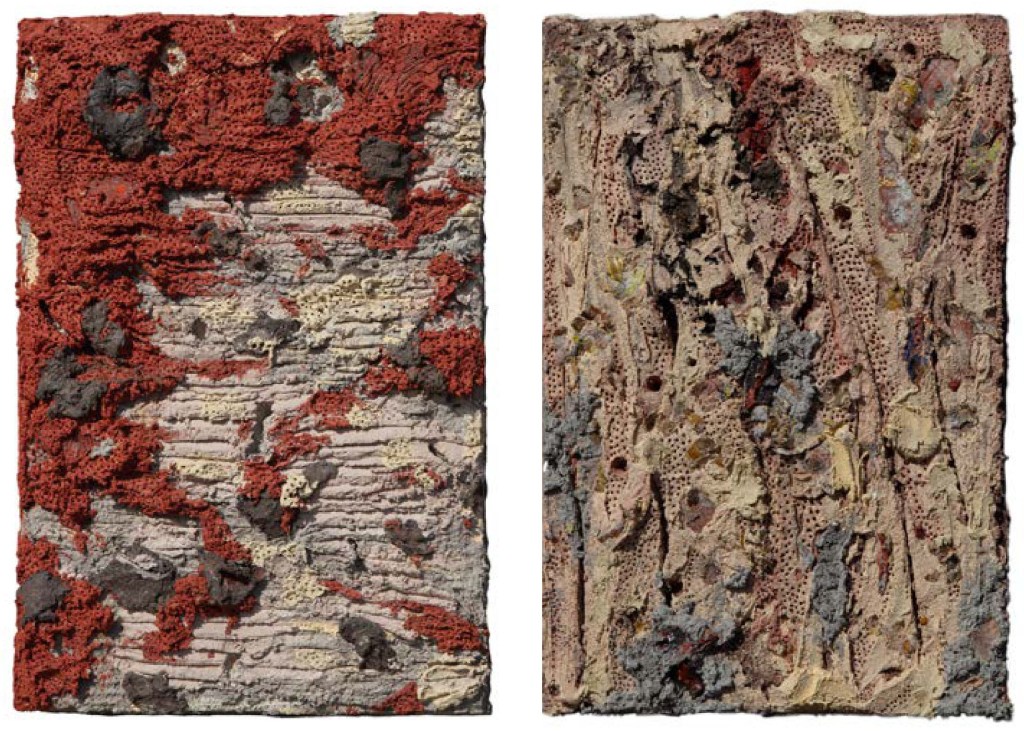 Abstract textured artworks featuring vibrant reds, browns, and muted tones, depicting a layered surface with intricate patterns and organic shapes.