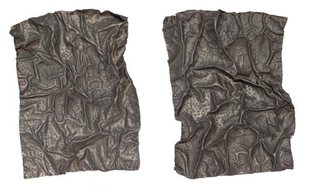 Two abstract metal sheets with a wrinkled texture, displaying intricate patterns and a dark, metallic finish.