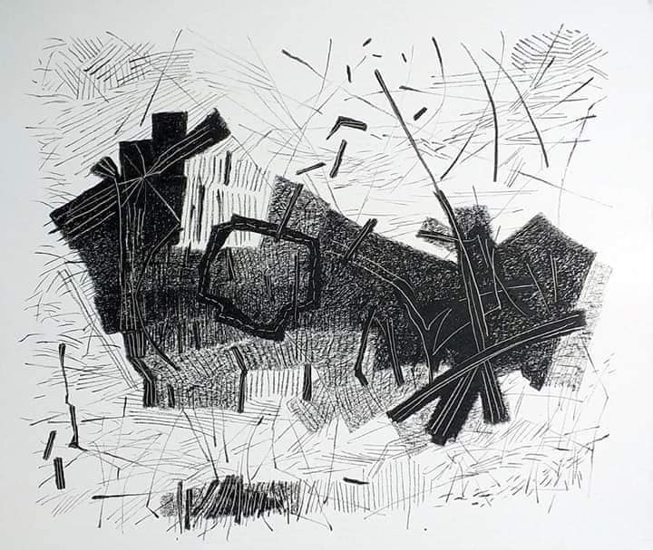 Abstract black and white artwork featuring a variety of textured shapes and lines, creating a dynamic and layered composition.